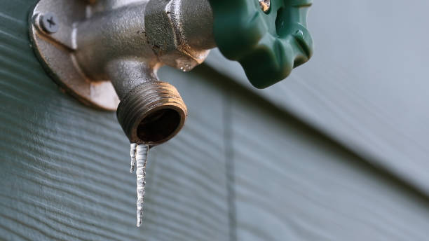 Best Affordable Plumber Near Me  in Honaunau Napoopoo, HI